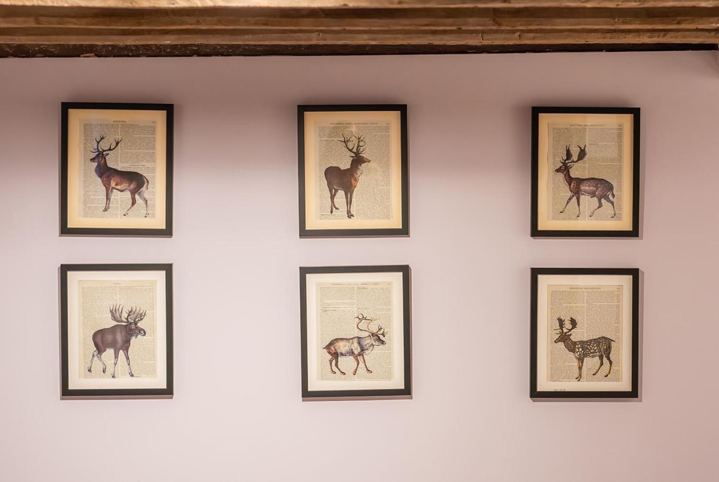 ホテル The White Horse, Rogate ピーターズフィールド エクステリア 写真